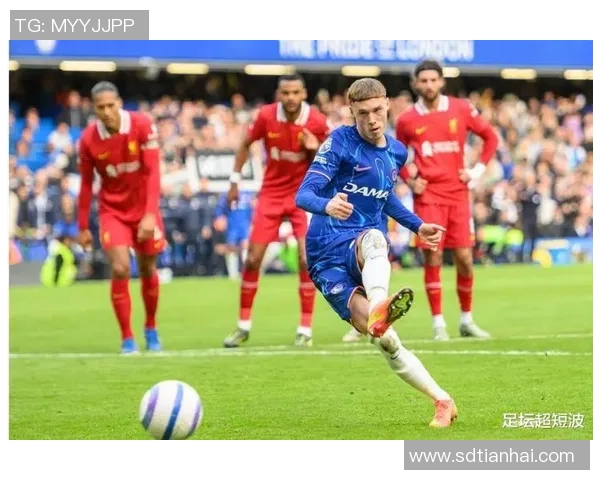 全球足坛十大顶级防守后腰球星解析与评比