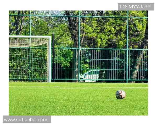 全球足球21号球星精彩集锦 他们如何在绿茵场上书写传奇