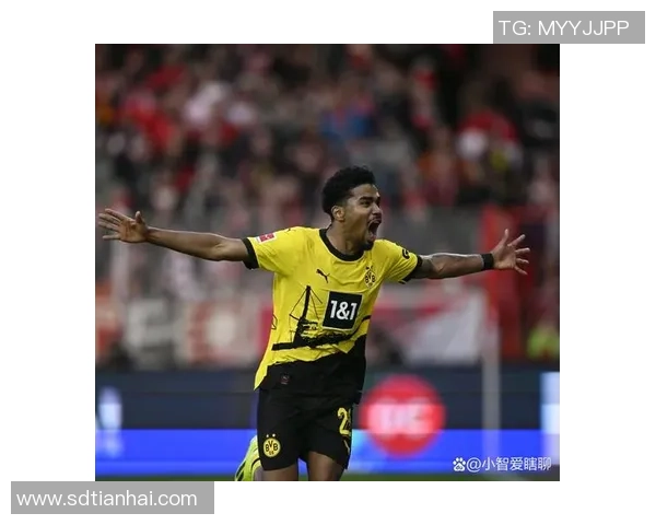 德国足球现役五大顶级球星盘点及其在国际舞台上的表现